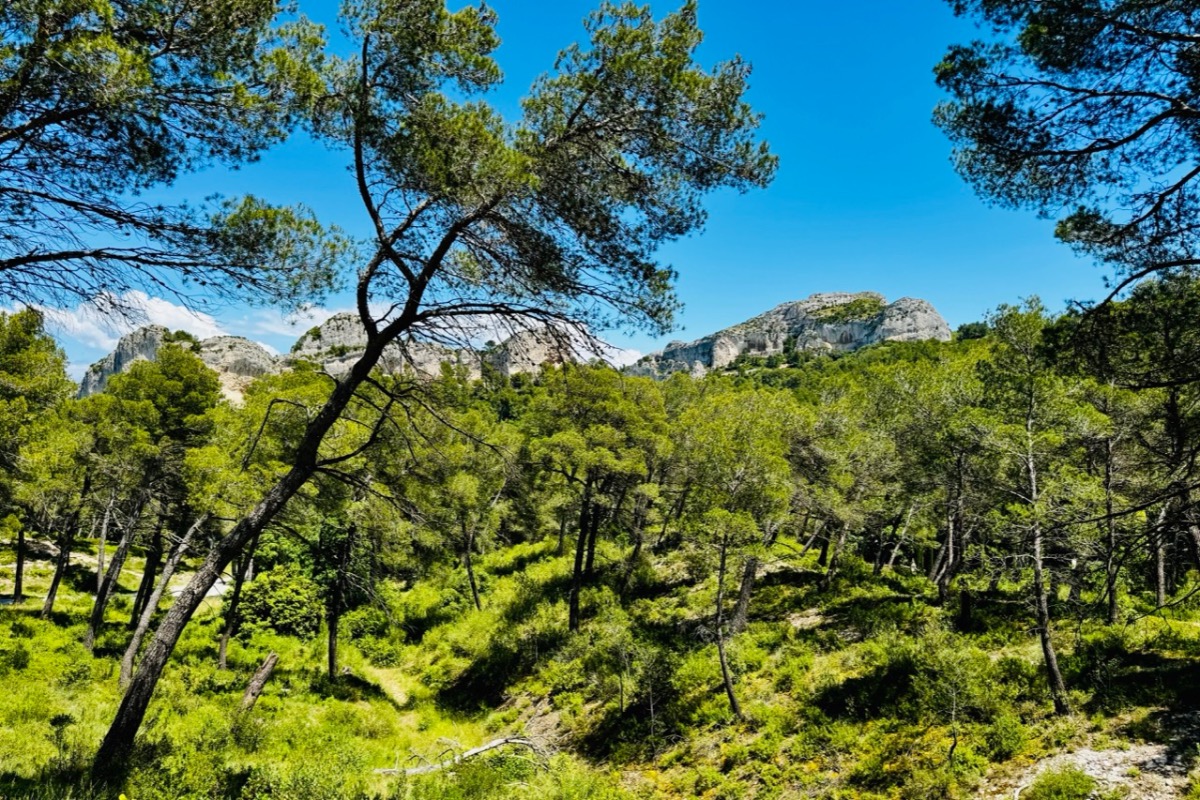 Reconnexion Nature